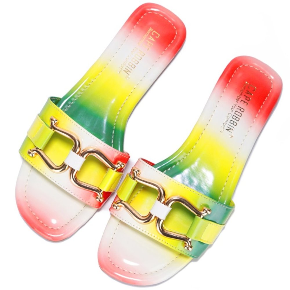 READ THE FINE PRINT [RASTA] FLAT SLIDE